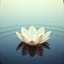 🪷 Lotus Dreaming 🪷