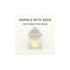 The Forgotten Song