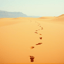 The Place We Used to Go