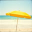Summer Holiday