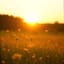 Brighten the Day