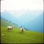 I Like to Yodel (Cover)