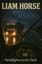 Headlights In The Dark