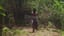 Jungle