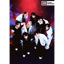 CEREMONY - Stray Kids