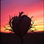 Hard To Hold (TBB La Guitarra Remix)