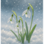 待雪草的約定  [待雪草の約束]   # Flowers