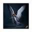 🌟 “Amor de Ángel”