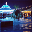 Triceratops' Waterpark After-Party