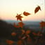 Bittersweet Feeling of Autumn (Nova Rock Mix)