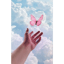Butterfly Twirl x