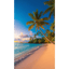 Saudade do Mar