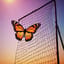 🦋Filet🔥Papillon🕸️ feat Gwendoline 🦋 DJ Squal92i