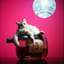Mystified disco