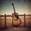 Vagabond Heart