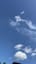 Under the Sky. Flight of the Hawk version