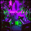 Acid Pressure Bass 1+++