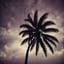 Nightcore Palma & Dark Ambient