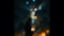 Durch Sturm und Feuer