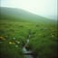 Ruf der Natur