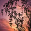 Romantischer Sonnenuntergang (Charles Baudelaire)