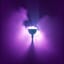 Chalice