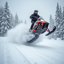 Snowmobile Joy