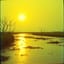 VISIONE DIVINA DEL SOLE ...Nuova Energia (Cover)