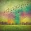 S.m.A. - Hohe Schule -1-