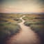 最好的安排