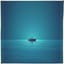 DCV - LONG WEEK