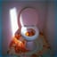 Puking in the Toilet 