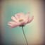 Le bonheur a petite dose