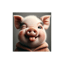Oink-oink!