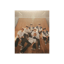 Band-Aid - KickFlip
