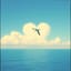 💚🌹💜🪶🪽Como una gaviota 1 | Just Like a Seabird