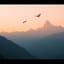 The Dawn of the Mountains / 山之初光