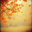 N’Emozione d’Autunno 🎶🎃 Buon autunno