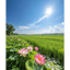 เมืองไทยนี้งาม/This Beautiful Thailand (Version II)[TH-JP-BL-NT-IN-2412]