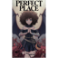 Perfect Place (Cover)