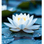 Shanti Meditation 