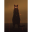 If your cat...