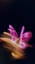 You Give Me Butterflies