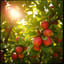 Apfelbaum 2+++