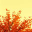 Le Peintre de l'Automne Remix