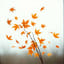 Wir gehen hellen Blickes in diesen Herbst