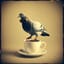 Quitter Pigeon (silly)  5  Alice Meanswell 