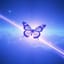 🦋 🐉🦋