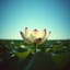 #4: EINDHOVEN DEEP CONSCIOUSNESS