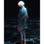 夢の残照 / Dream Afterglow